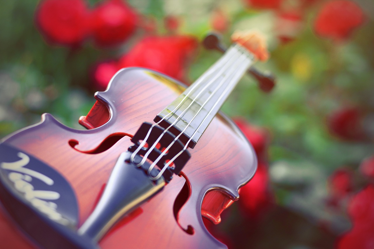 Clasificación de los Instrumentos de Cuerda Frotada
