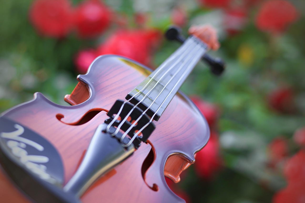 Cómo funcionan los instrumentos de cuerda frotada