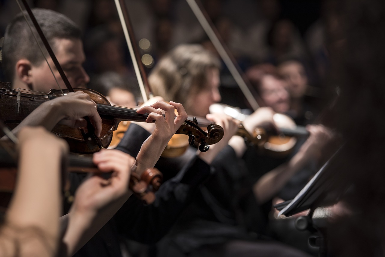 ¿Qué distingue a una orquesta sinfónica filarmónica y de cámara?