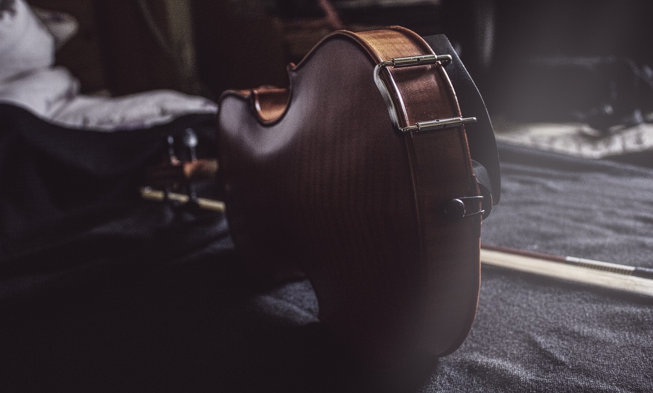 Conociendo las Partes del Arco de un Violín