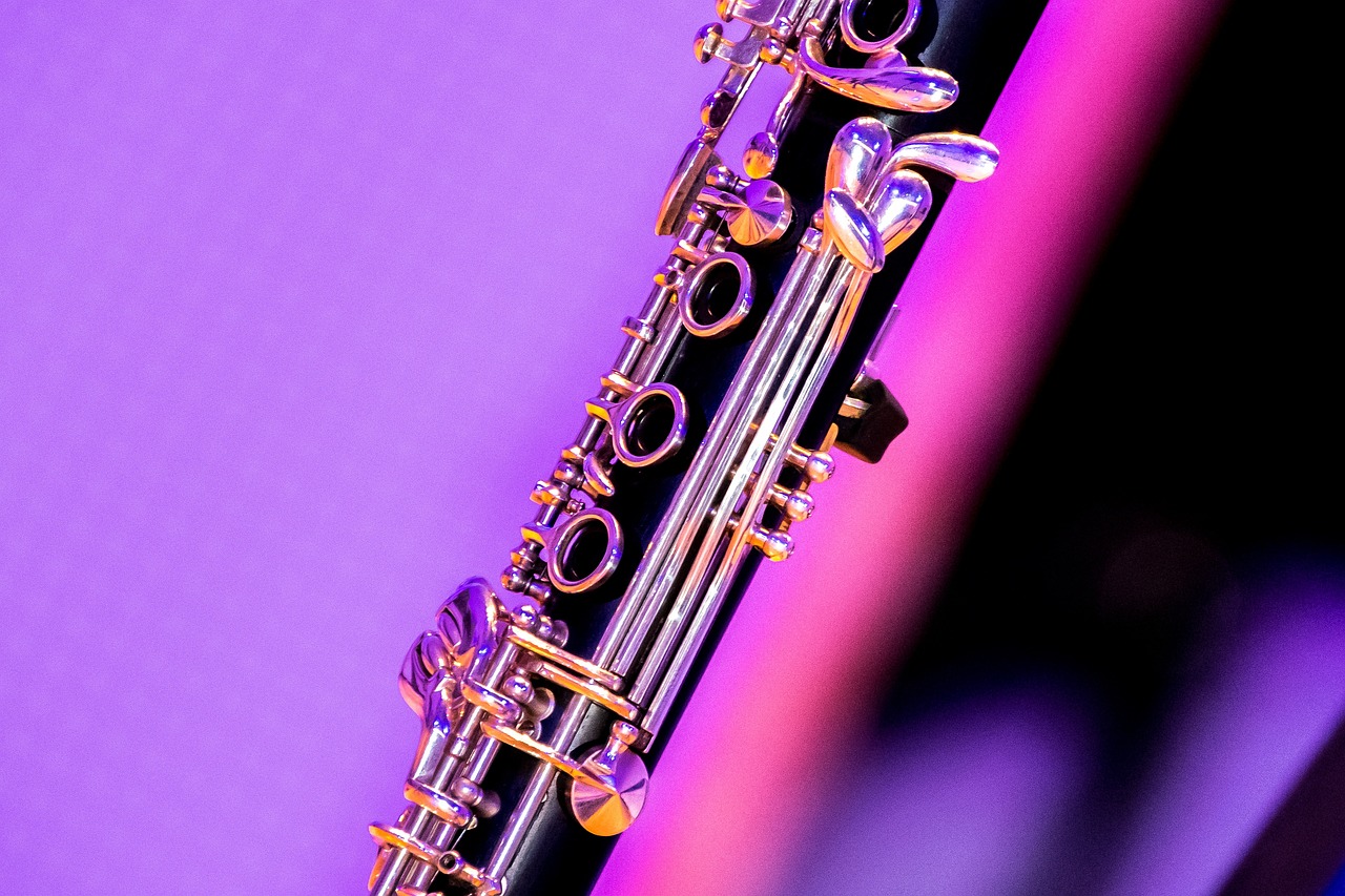 ¿Cuánto tiempo lleva aprender a tocar el clarinete?