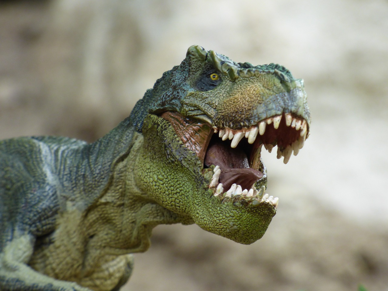 La Evolución de la Prehistoria: Una Mirada Retrospectiva