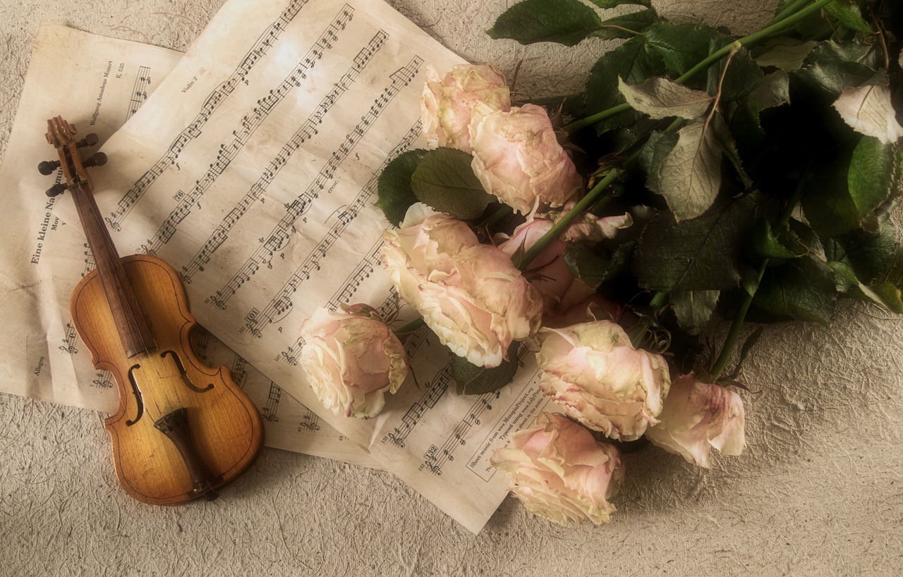 Consejos para colocar los dedos correctamente en el violín
