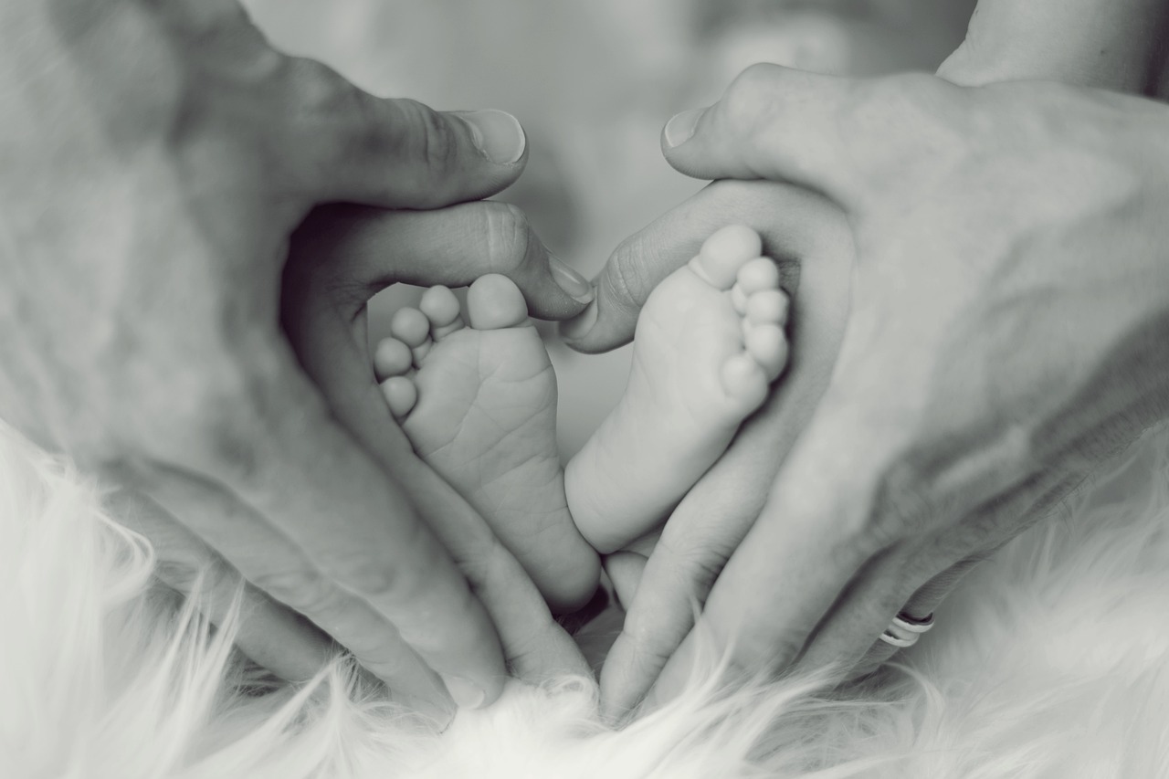 Descubriendo tu descendencia: ¿Cómo averiguar quién es tu familia?