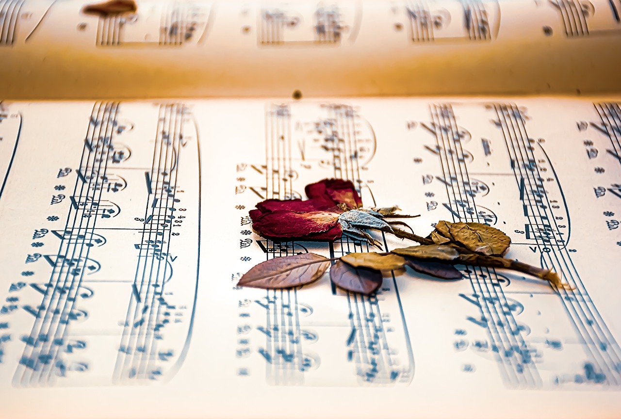 Los tipos de música contemporánea: una mirada