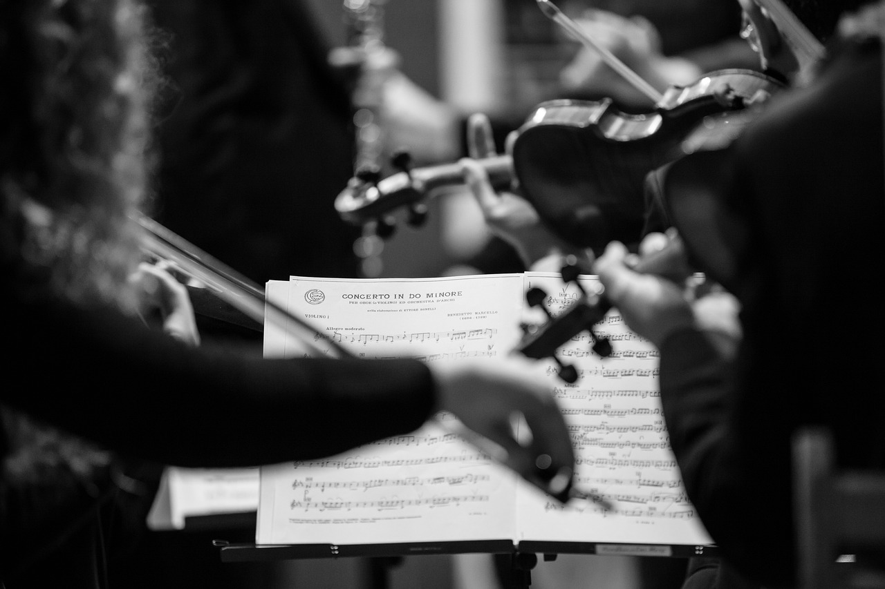 Cinco Tipos de Oboe: ¿Cuál Es El Adecuado Para Ti?