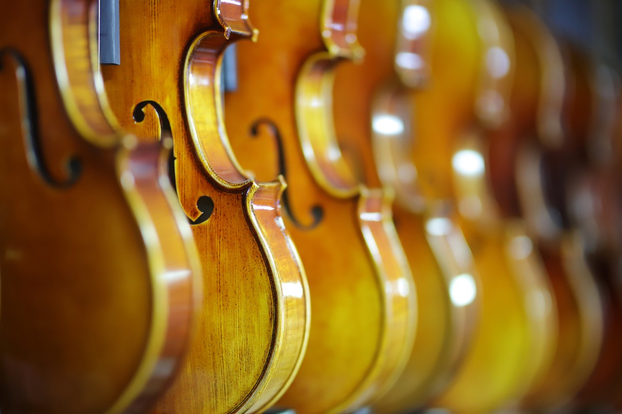 Los instrumentos de cuerda más populares: ¿cuáles son?