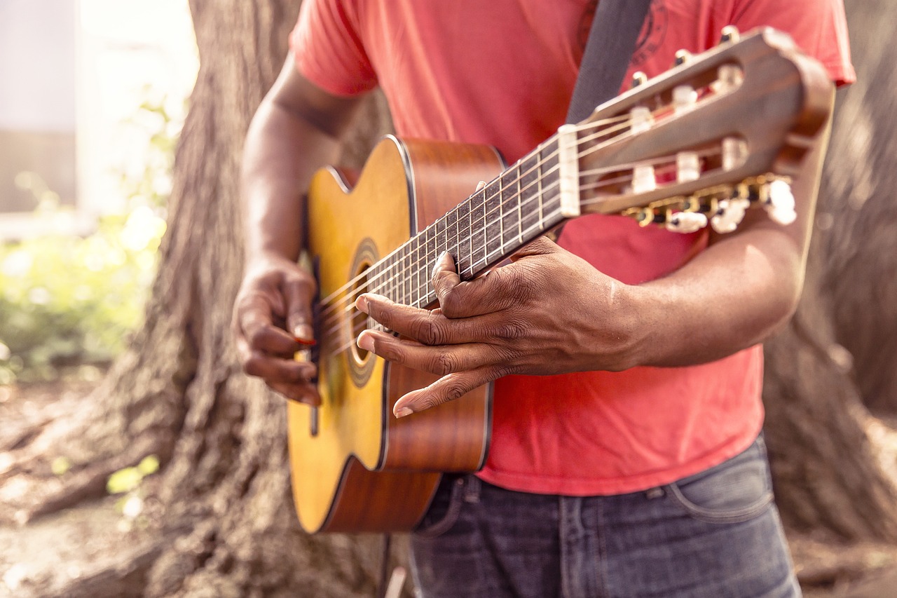 ¿Cuál es el nombre de la canción de serenata?