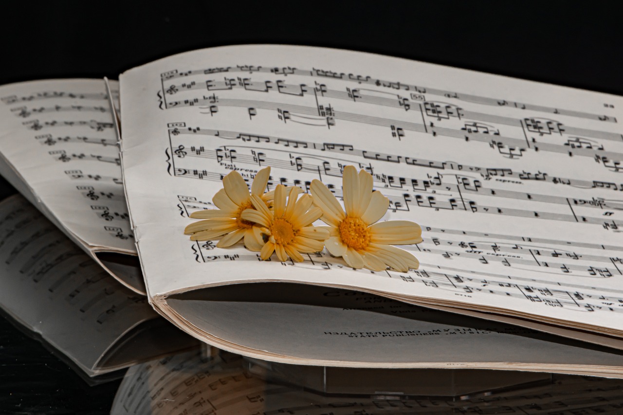 Sonatas: Una Mirada a una Forma Musical Clásica