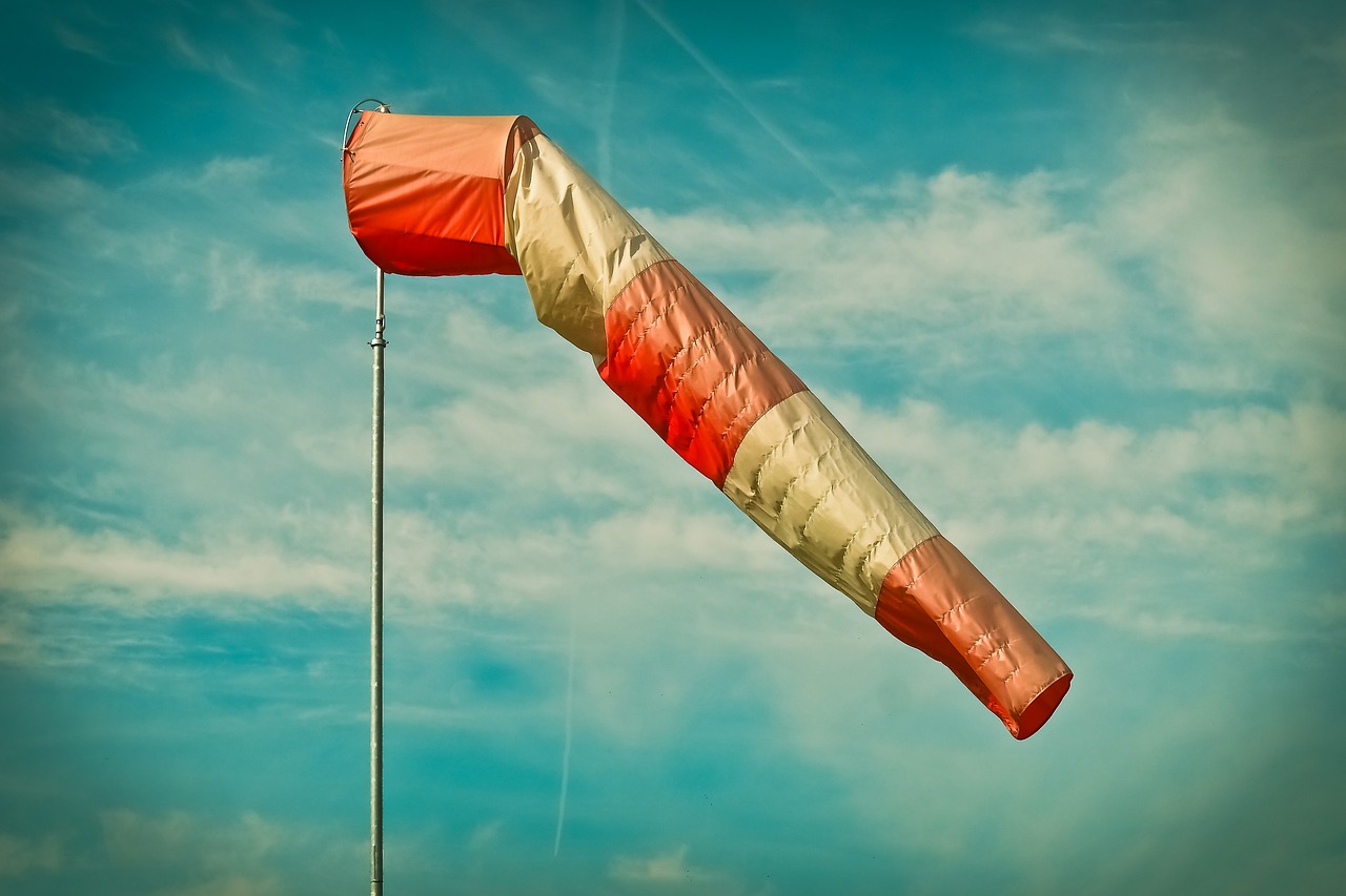 Instrumentos de viento de madera: ¿Cuáles son sus nombres?