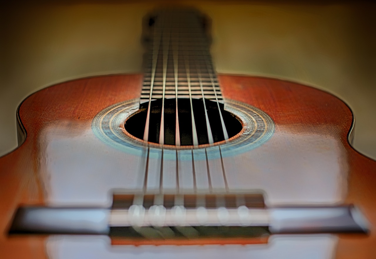 Instrumentos de cuerda pulsada: ¿Cuáles son?