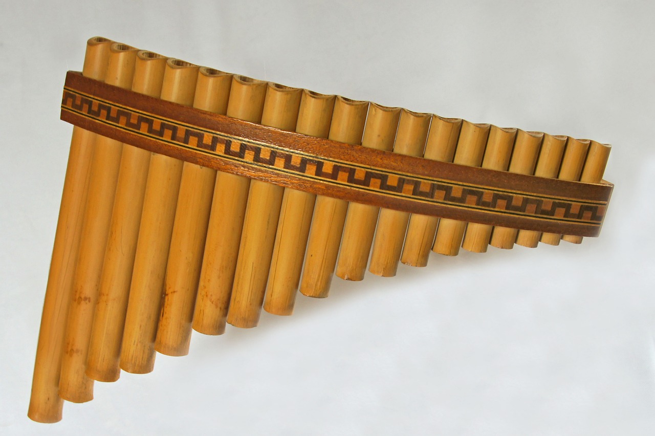¿Cómo se Comparan la Flauta y el Clarinete?