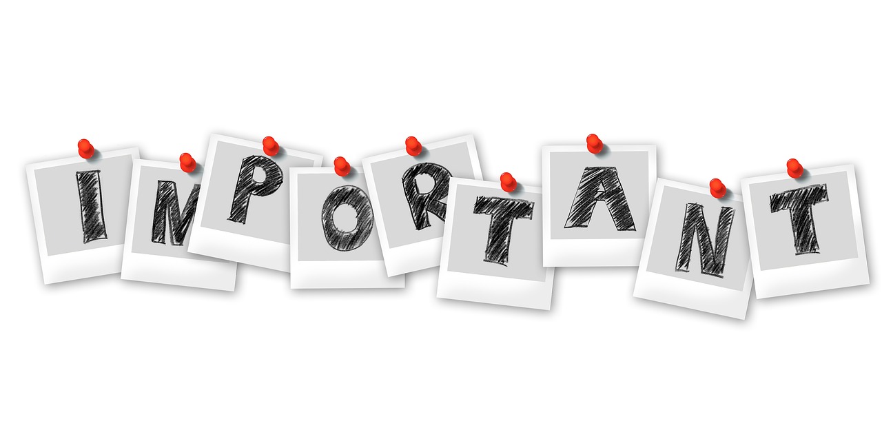 ¿Qué significa la palabra compa?