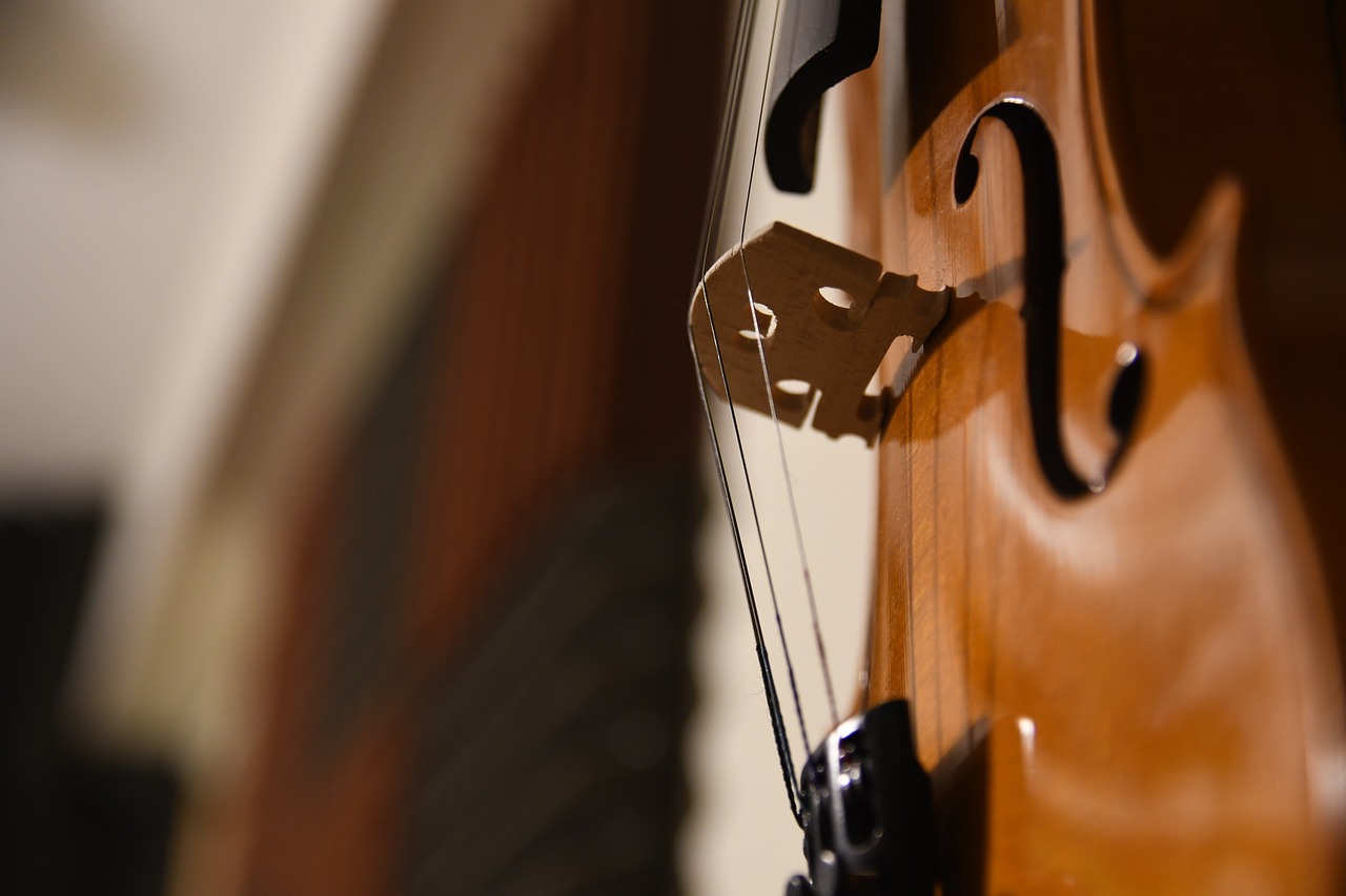 Cómo Identificar las Partes de un Violín
