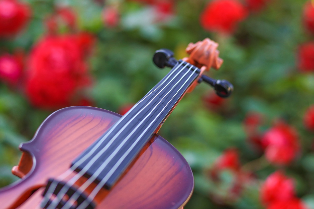 Instrumentos de Cuerda Frotada: ¿Qué son y cómo se Usan?