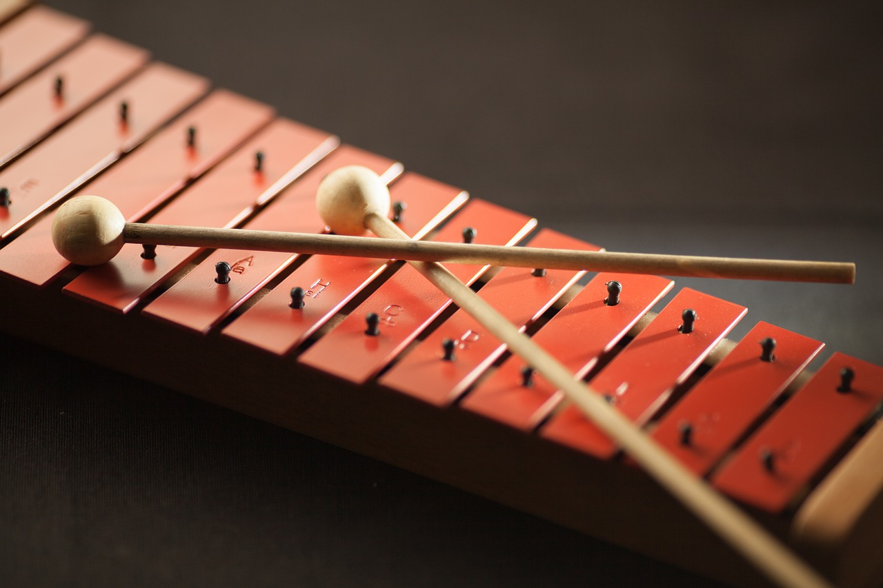 Descubriendo los sonidos de la percusión