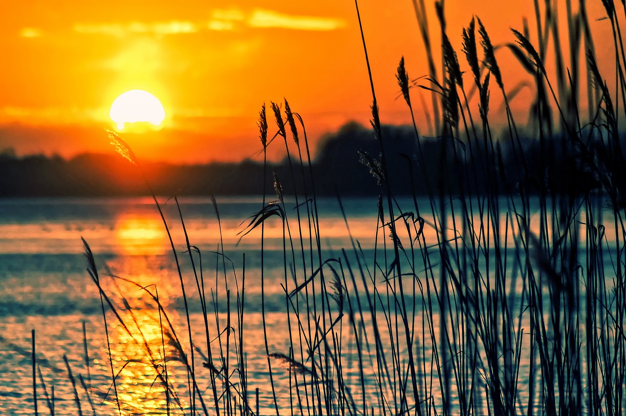 ¿Qué significa la Séptima de Sol?