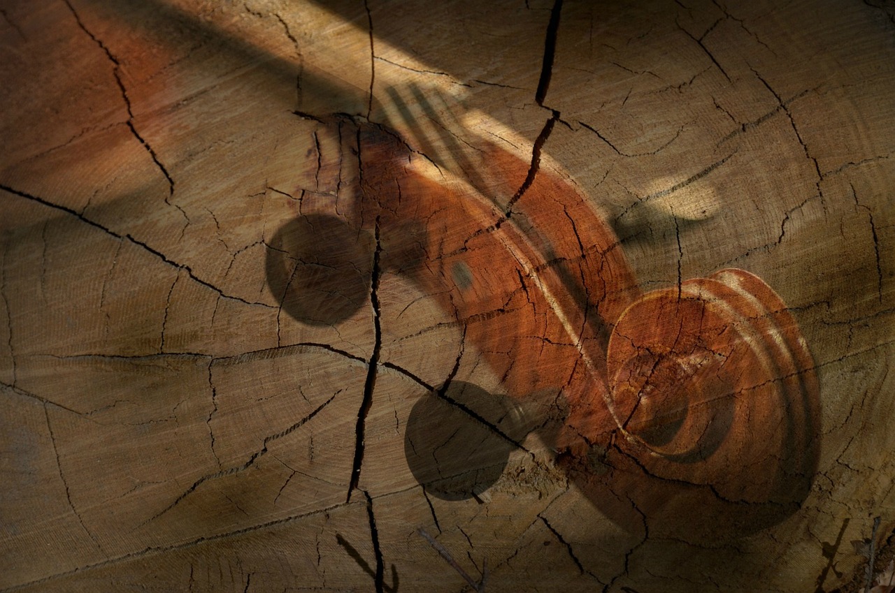 Comprendiendo la Estructura Musical: Ejemplos y Explicaciones