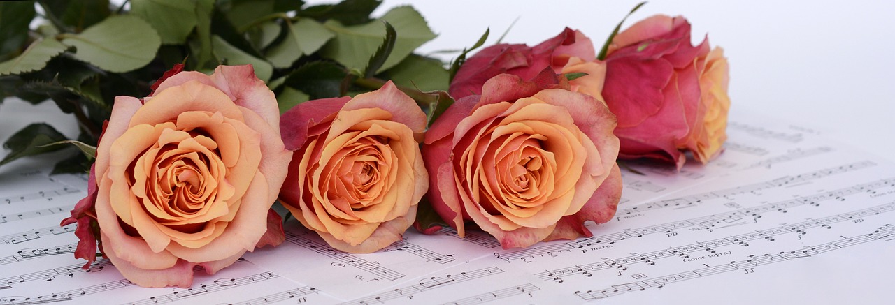 Leyendo notas en una partitura: una guía paso a paso