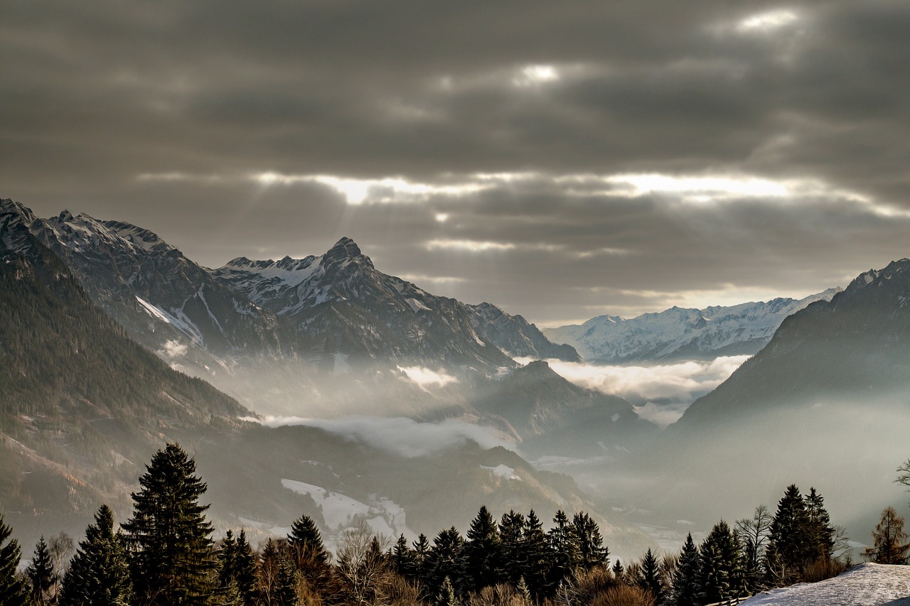 Los musicos austriacos: ¿Quiénes nacieron en Austria?