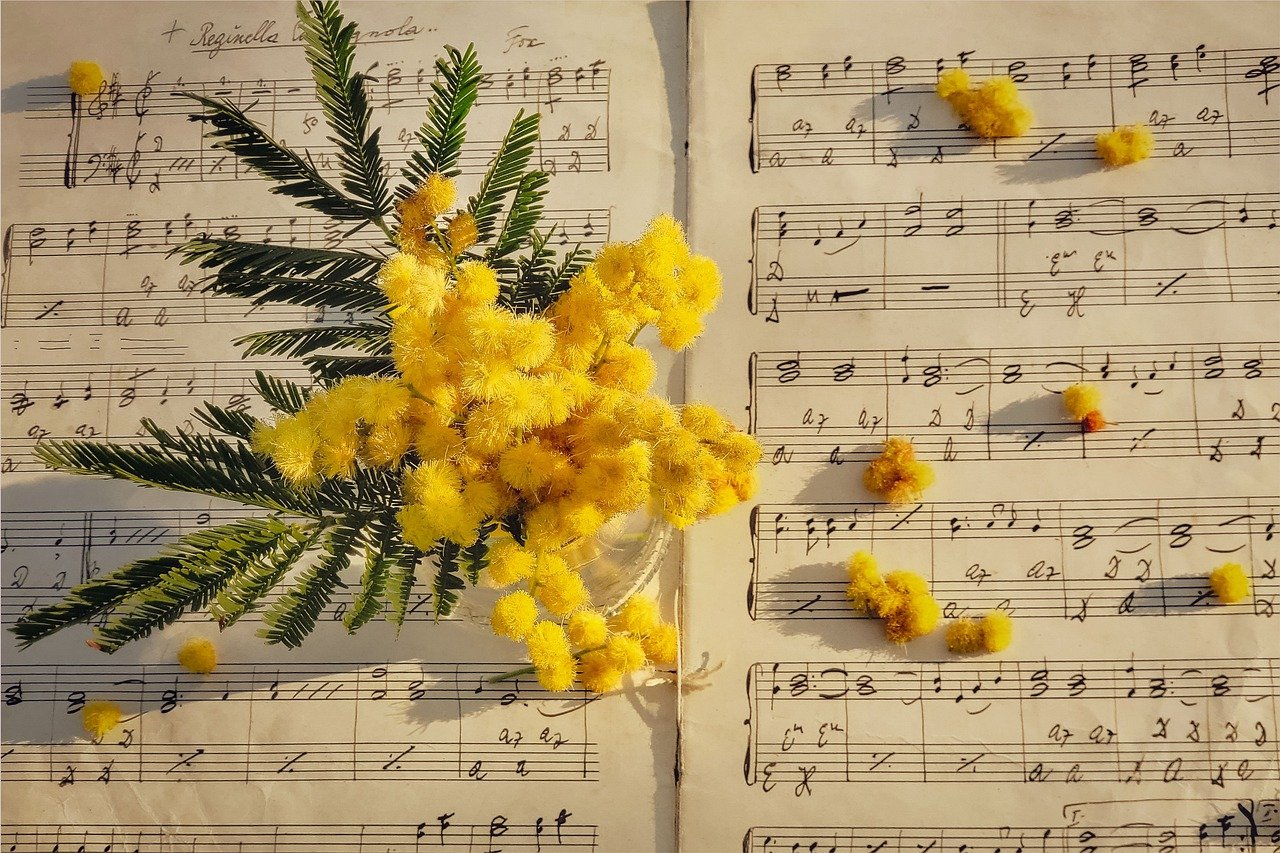 ¿Cuál es el nombre de la canción para trompeta?