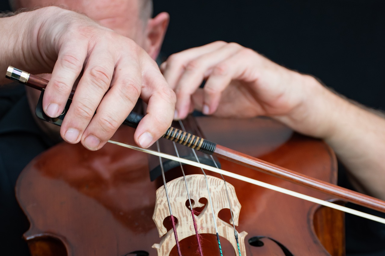 ¡Disfruta un concierto para solista!