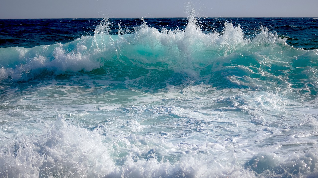 ¿Cuál es la Familia de Instrumentos de Viento?