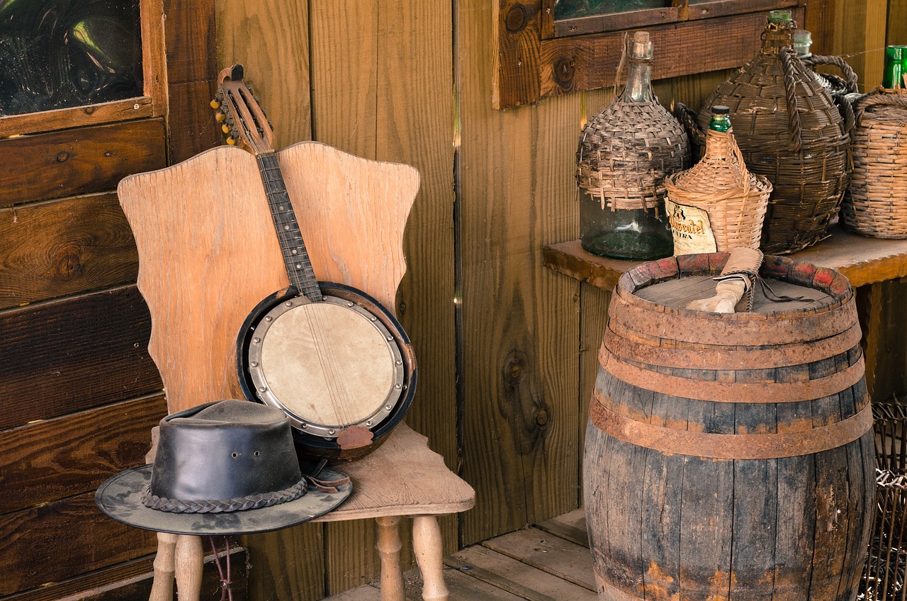 ¿Qué partes componen un banjo?