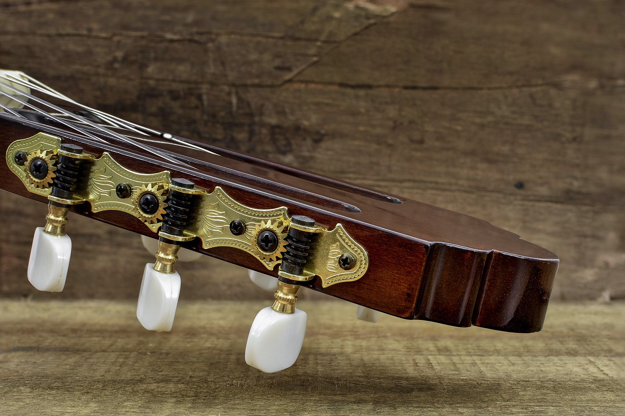 Los instrumentos cordófonos: conoce sus características