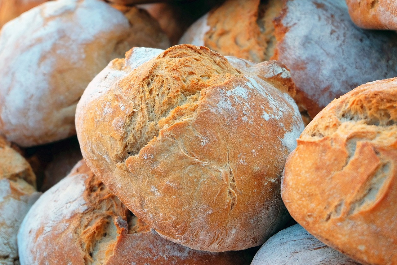 La fascinante historia del pan: ¿Cómo llegó a nuestras vidas?