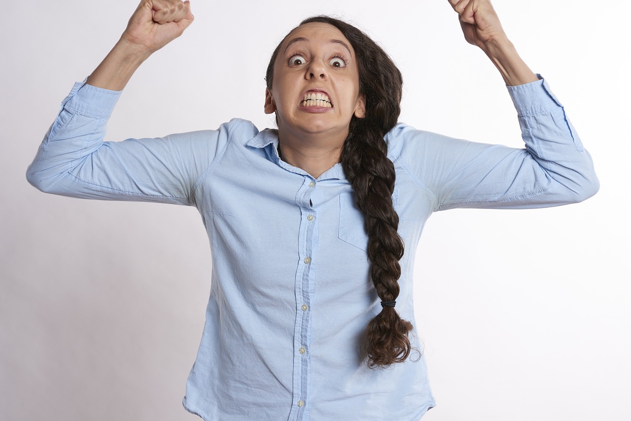 ¿Cuál es el significado de la palabra 'profano'?”