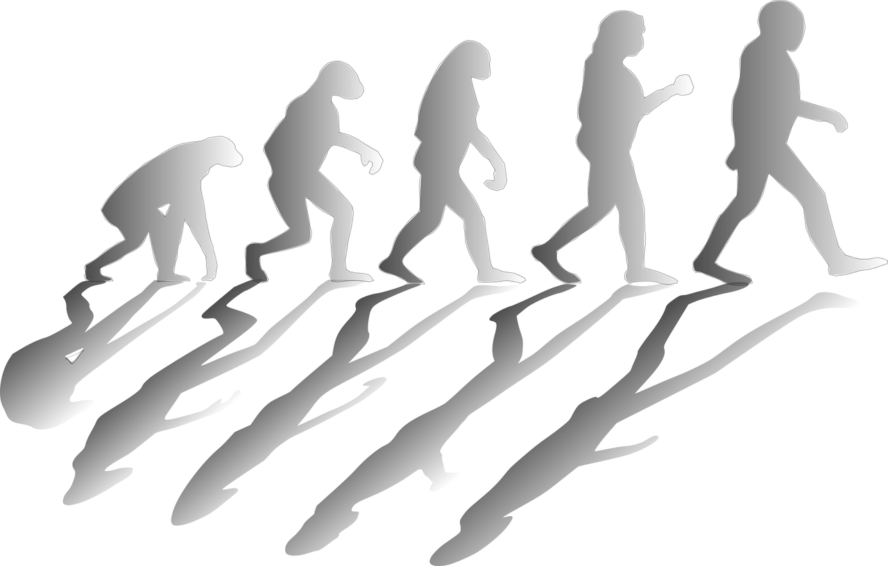 Explorando la Evolución de la Música