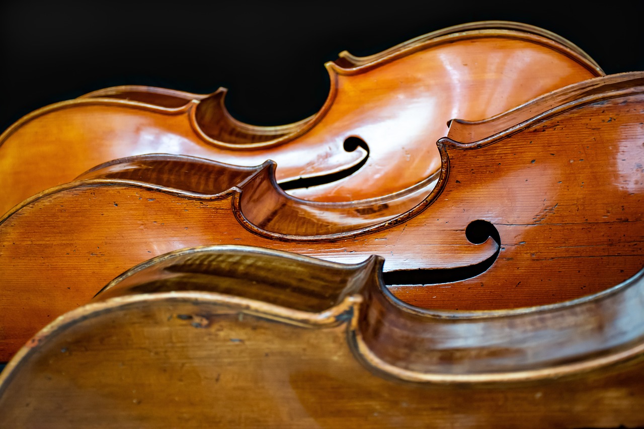 Conoce los Instrumentos de Cuerda y sus Ejemplos