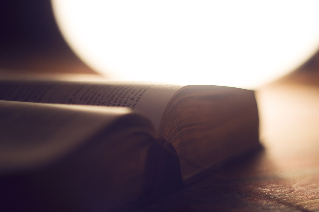 Las 7 estrategias clave para mejorar la lectura
