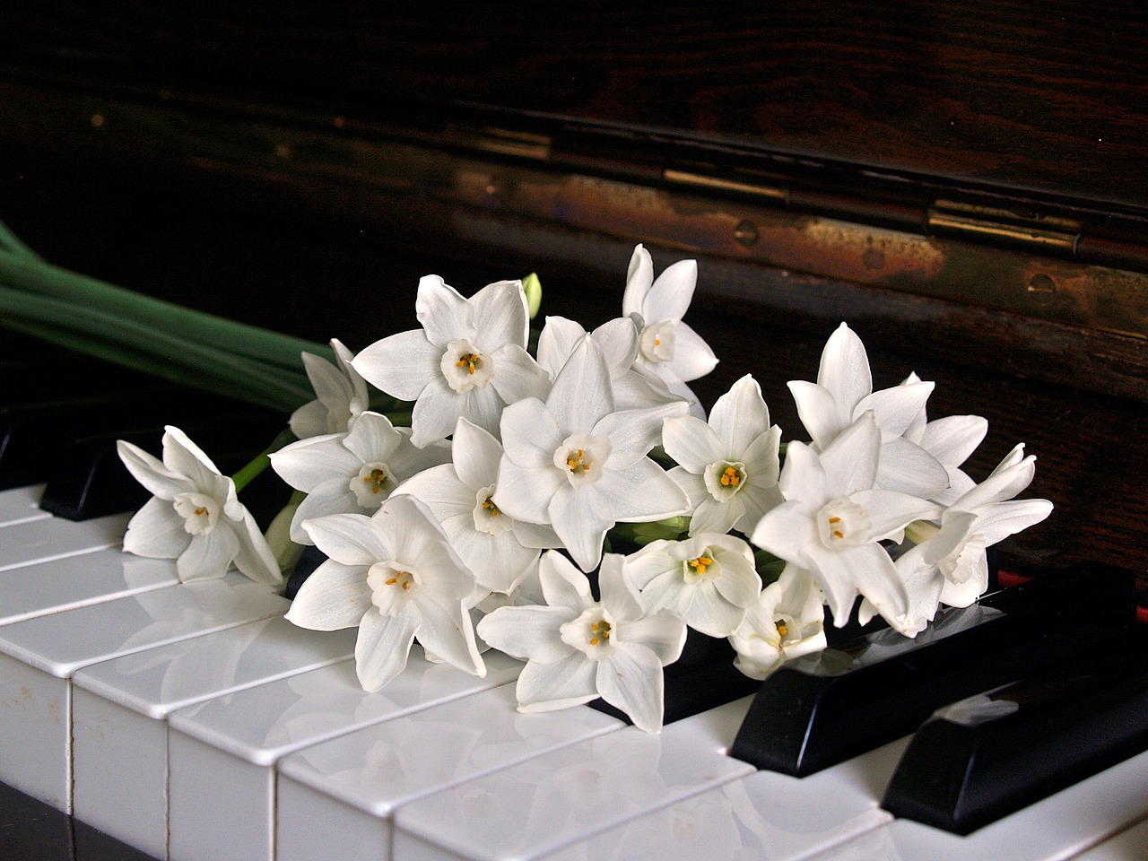 ¿Qué es una escala cromática en el piano?