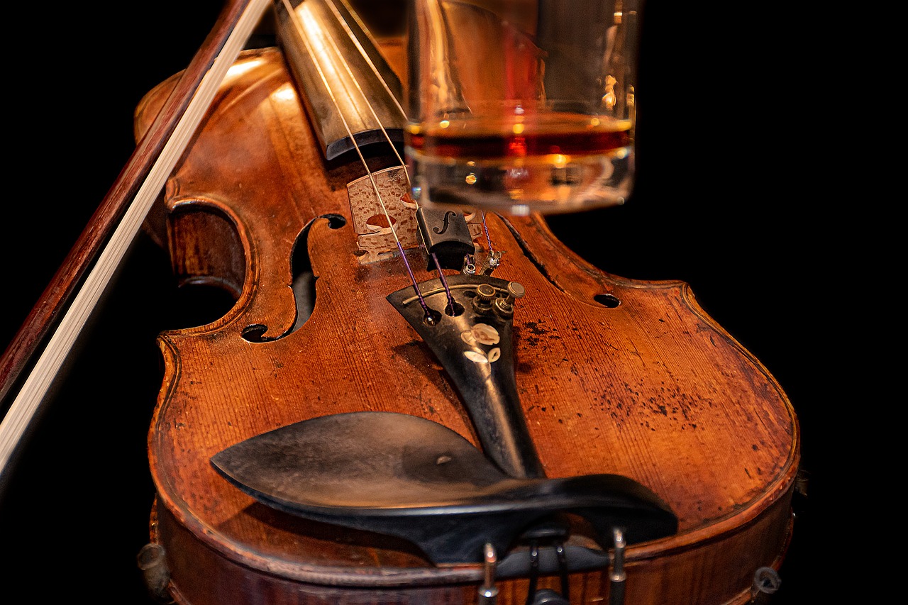 ¿Cuáles son las partes del arco del violín?